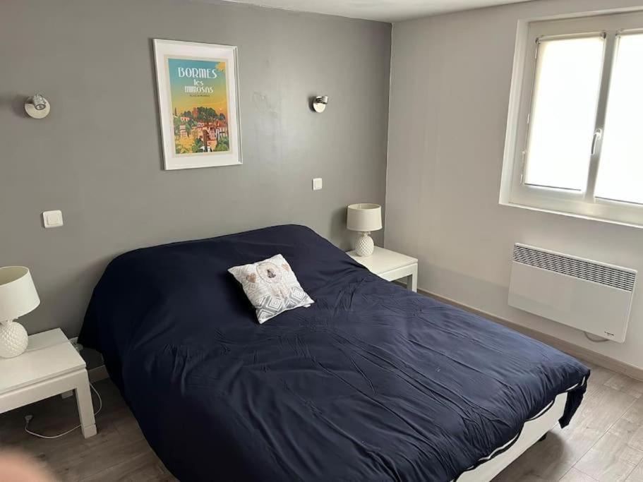 Bas De Villa 70M2 Independant Avec Espace Jacuzzi Prive Le Lavandou Luaran gambar